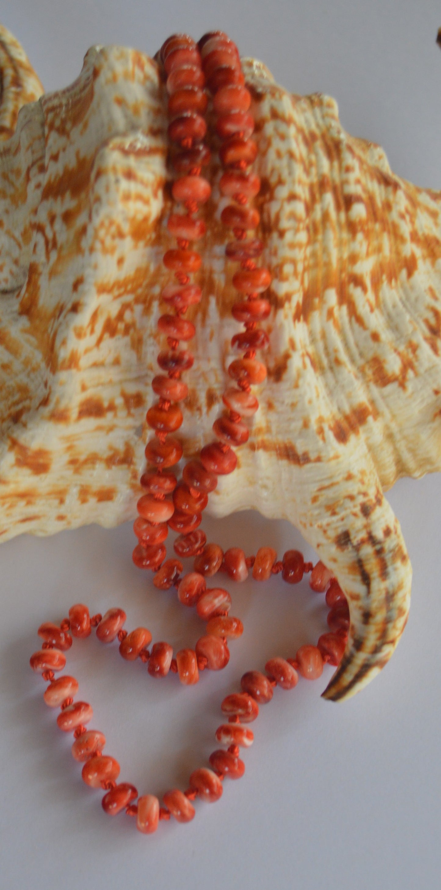 Spiny Oyster Knotted Necklace 19.5" Long