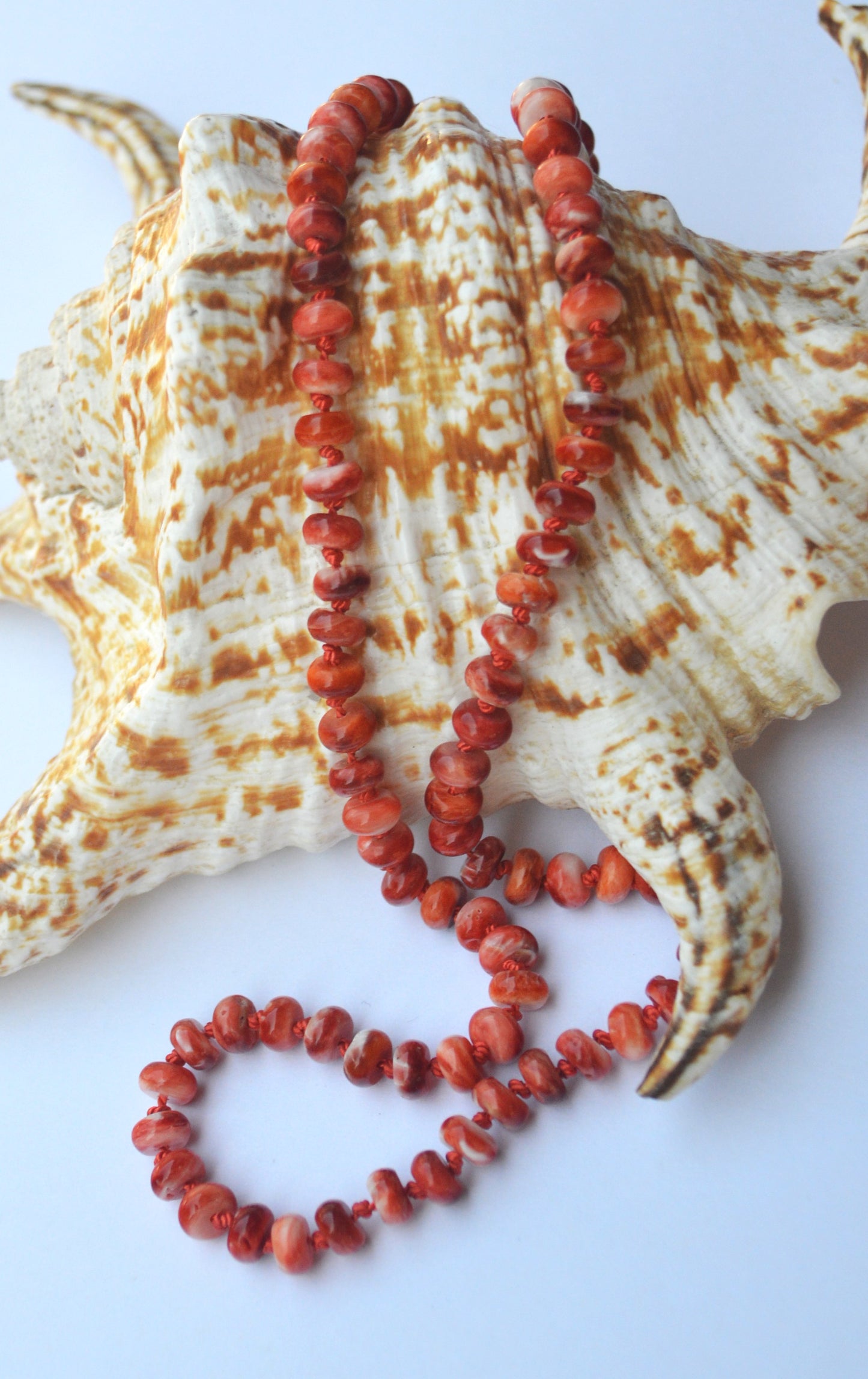 Spiny Oyster Knotted Necklace 19.5" Long