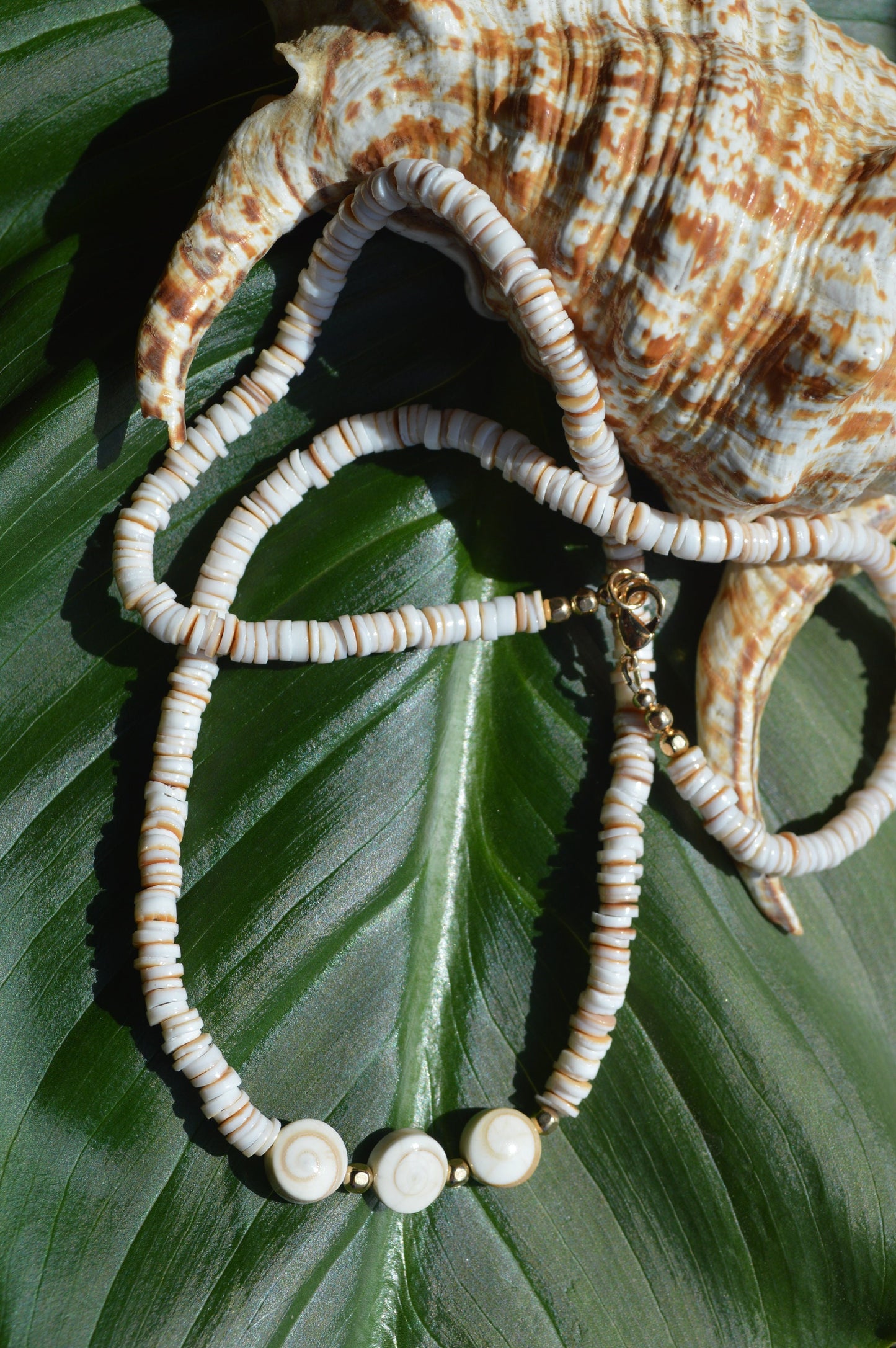 Beachy and Pretty! Conus Heishi Shell Necklace with 3 Shiva Eye Shells.  18K Gold Filled Lobster Clasp and Beads.